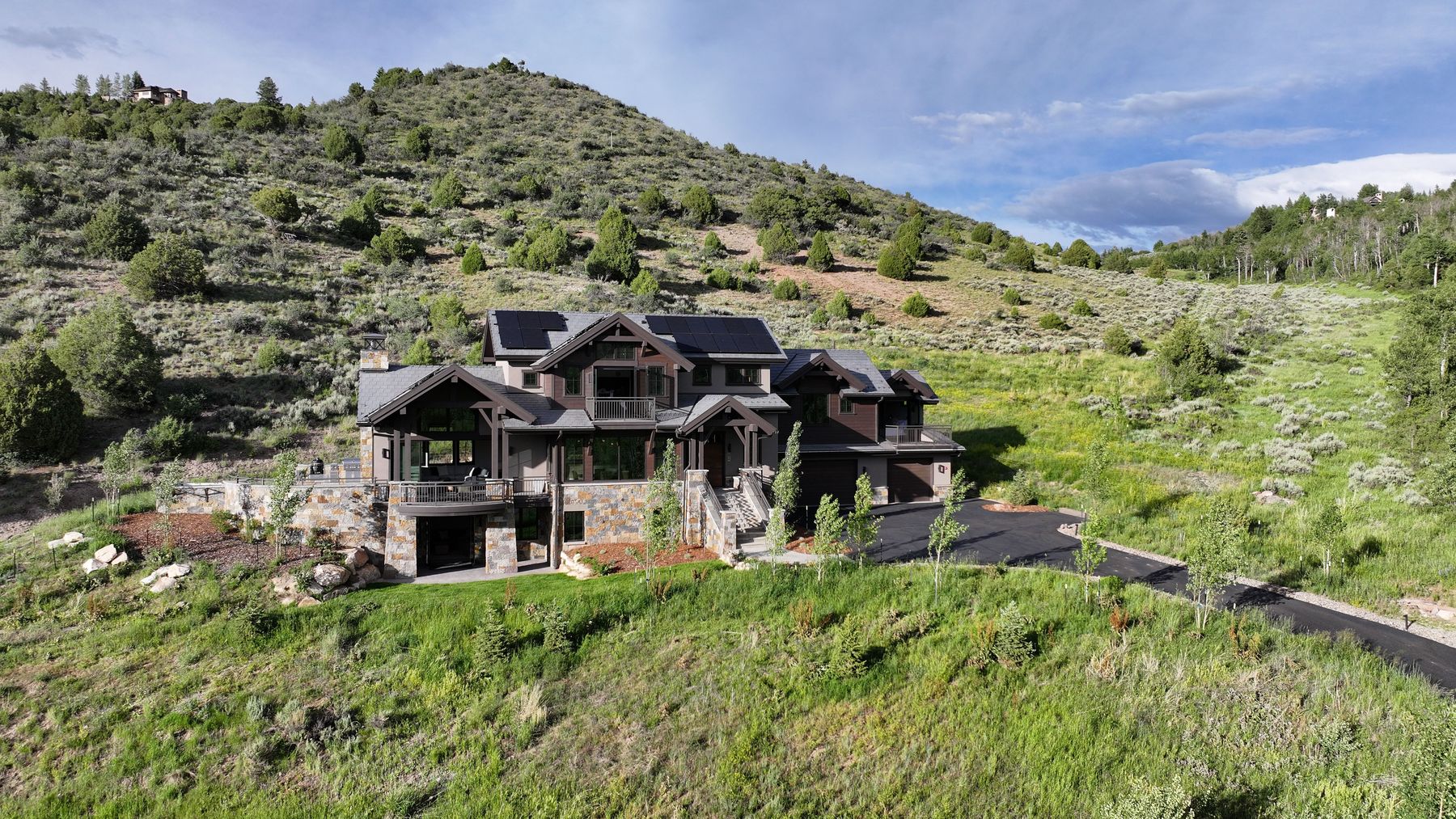 Aerial view from the meadow